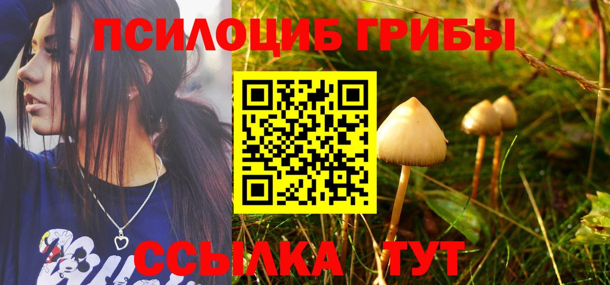 Галлюциногенные грибы ЛСД Жуковский