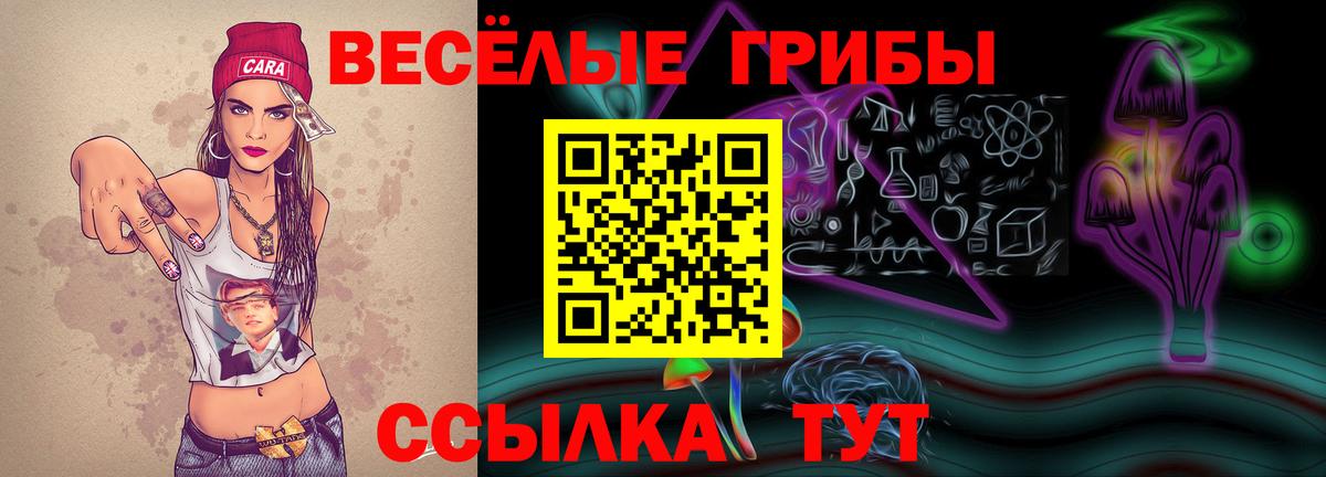 сколько стоит  Псилоцибиновые грибы GOLDEN TEACHER  Вход с VPN  Жуковский 